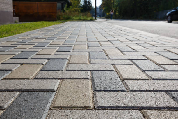 Best Driveway Paving Contractor  in Point Mackenzie, AK